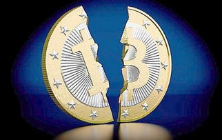 High-performance Bitcoin mining rig setup showcasing efficient hardware in a Dutch mining farm
