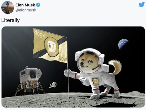 A cartoon dog wearing a miner's helmet, symbolizing the fun and accessible nature of Dogecoin mining.